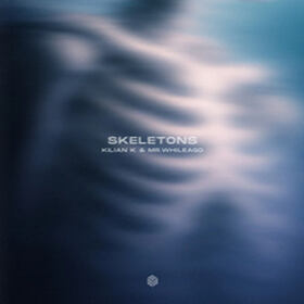 Skeletons