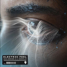 Electric Feel