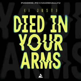 I Just Died In Your Arms