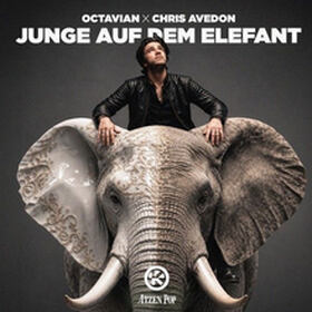 Junge Auf Dem Elefant