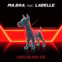 Plastic Dog (Remix 2026)