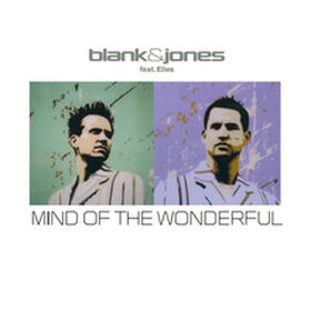 Mind Of The Wonderful