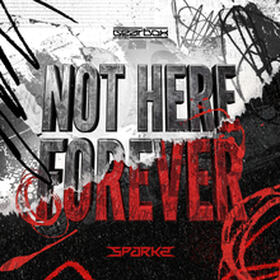 Not Here Forever