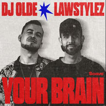 Your Brain