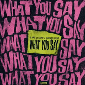 What You Say