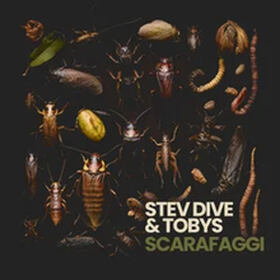 SCARAFAGGI