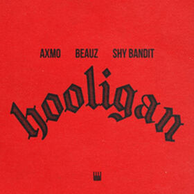 Hooligan