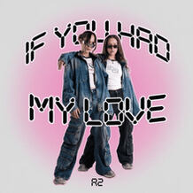 If You Had My Love