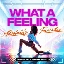 Flashdance (What A Feeling) (Timster & Ninth Remix)