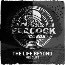 The Life Beyond