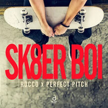 Sk8er Boi
