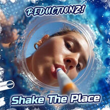 Shake The Place