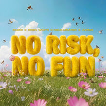 No Risk, No Fun