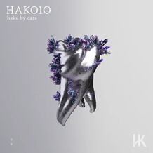 HAK010