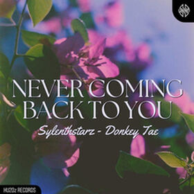 Never Coming Back To You