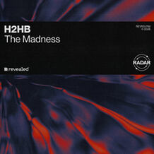 Surrender To The Madness