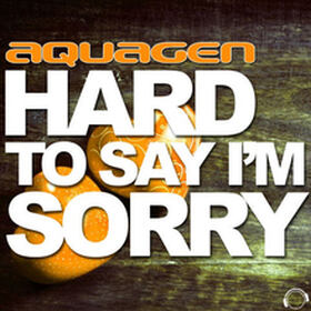 Hard To Say I'm Sorry (The Hands Up, Happy Hardcore & Hardstyle Remixes)