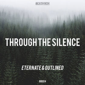 Through The Silence