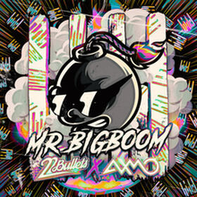 Mr. BigBoom