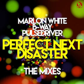Perfect Next Disaster (The Mixes)