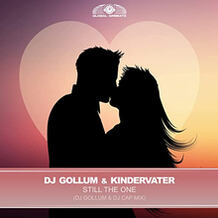 Still The One (DJ Gollum & DJ Cap Mix)