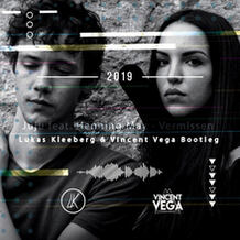 Vermissen (Lukas Kleeberg & Vincent Vega Bootleg)
