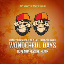 Wonderful Days (Dope Monkeys RE-REmix)