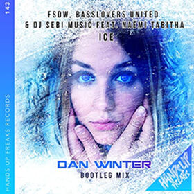 Ice (Dan Winter Bootleg Mix)