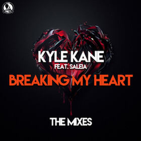 Breaking My Heart (The Mixes)