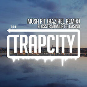 Moshpit (Razihel Rmx)