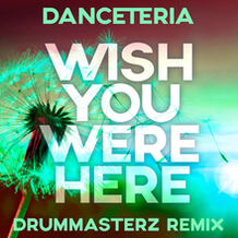 Wish You Were Here (DrumMasterz Remix)