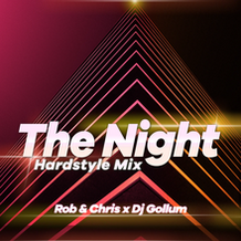 The Night (Hardstyle Mix)